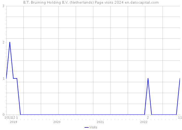 B.T. Bruining Holding B.V. (Netherlands) Page visits 2024 
