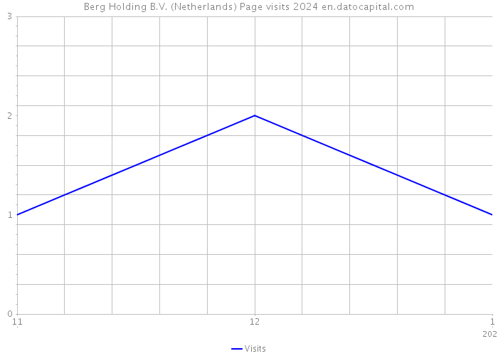 Berg Holding B.V. (Netherlands) Page visits 2024 