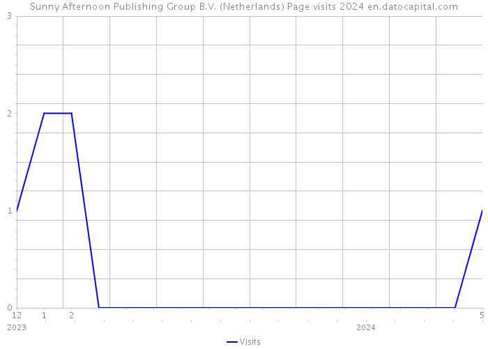 Sunny Afternoon Publishing Group B.V. (Netherlands) Page visits 2024 