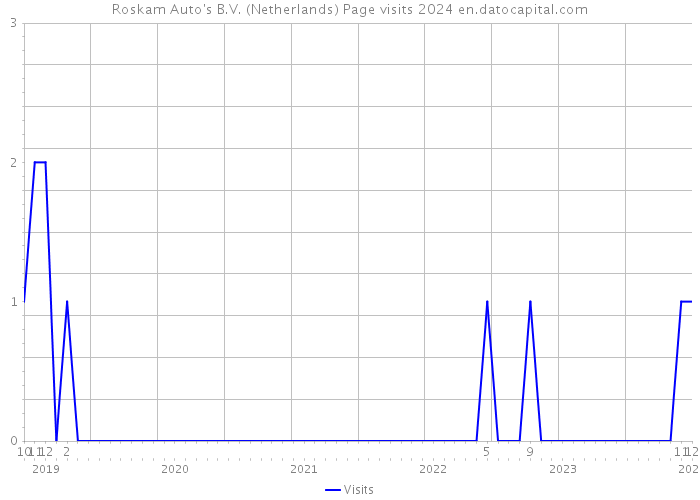 Roskam Auto's B.V. (Netherlands) Page visits 2024 