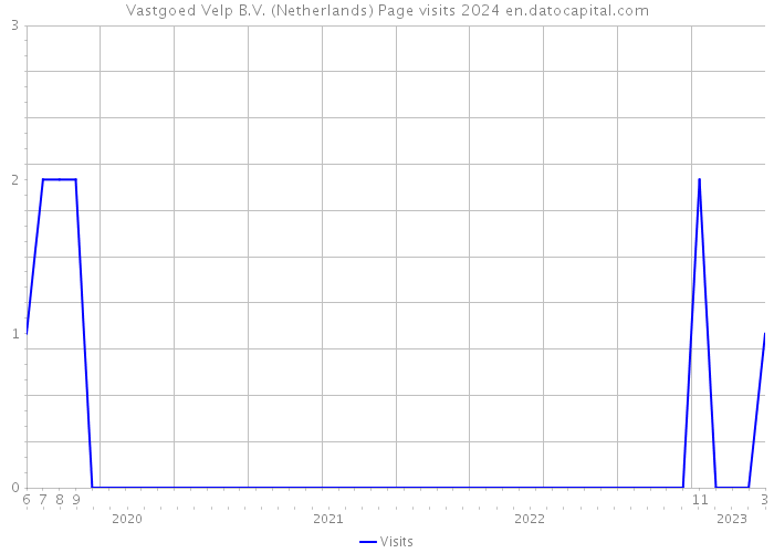 Vastgoed Velp B.V. (Netherlands) Page visits 2024 