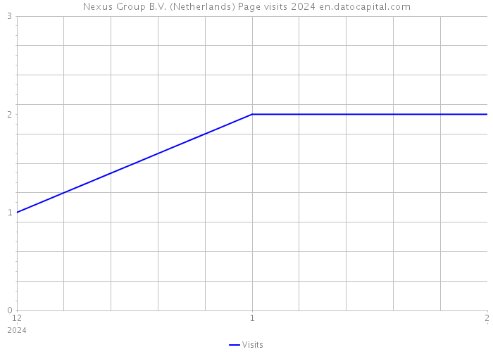 Nexus Group B.V. (Netherlands) Page visits 2024 