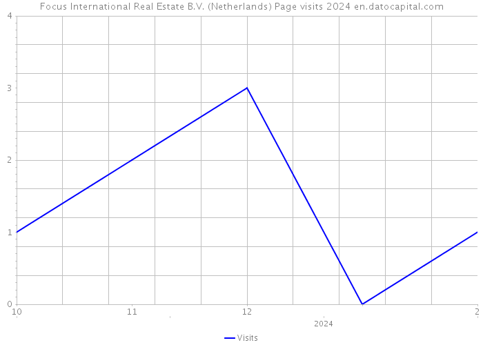 Focus International Real Estate B.V. (Netherlands) Page visits 2024 