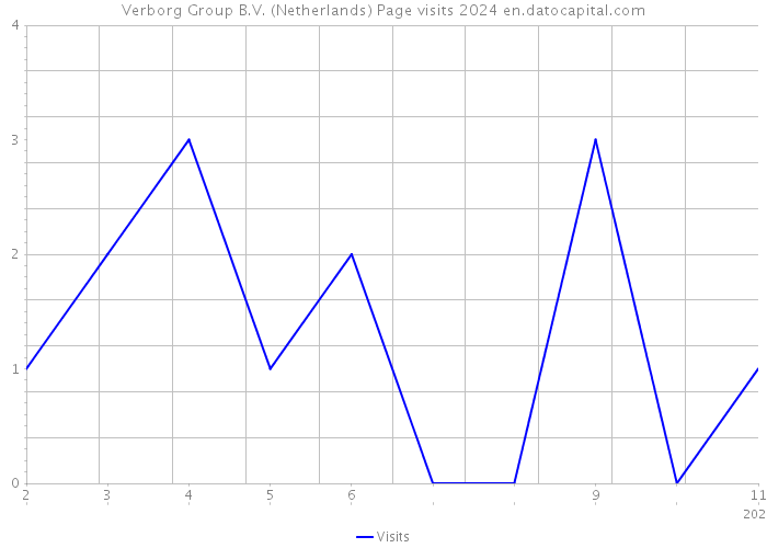 Verborg Group B.V. (Netherlands) Page visits 2024 