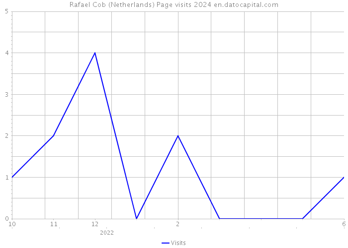 Rafael Cob (Netherlands) Page visits 2024 