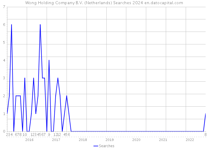 Wong Holding Company B.V. (Netherlands) Searches 2024 