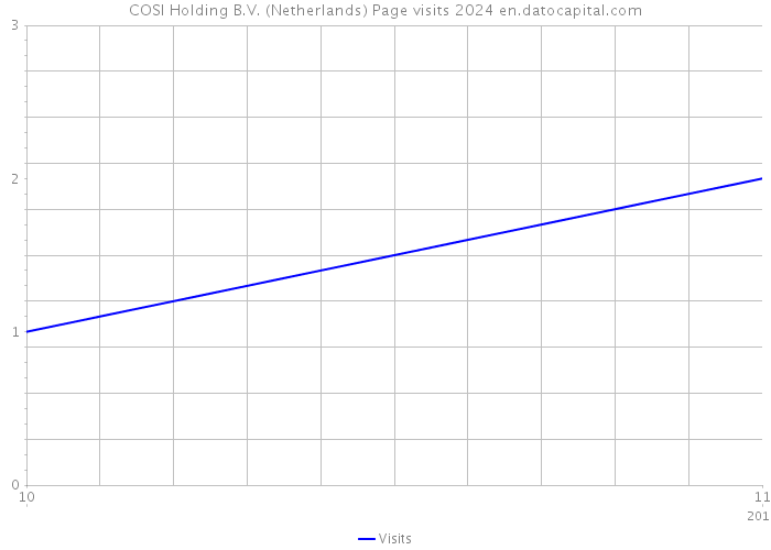 COSI Holding B.V. (Netherlands) Page visits 2024 