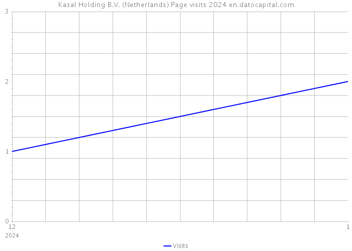 Kasal Holding B.V. (Netherlands) Page visits 2024 