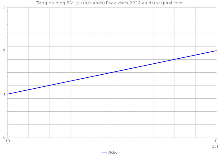 Tang Holding B.V. (Netherlands) Page visits 2024 