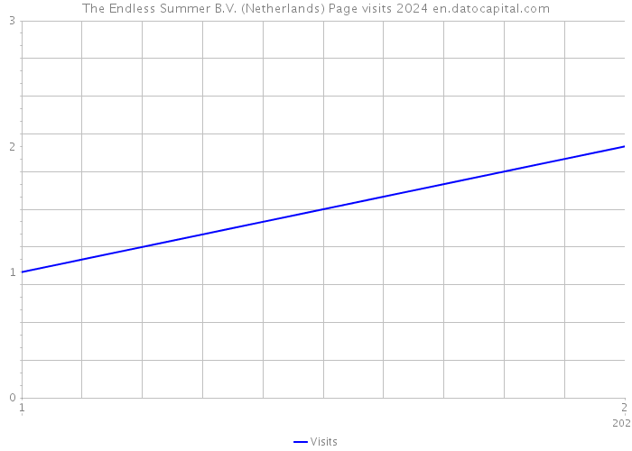 The Endless Summer B.V. (Netherlands) Page visits 2024 