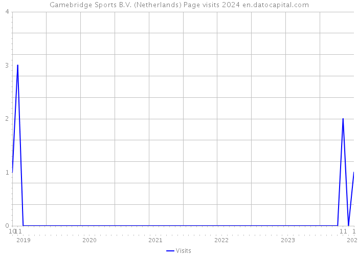 Gamebridge Sports B.V. (Netherlands) Page visits 2024 