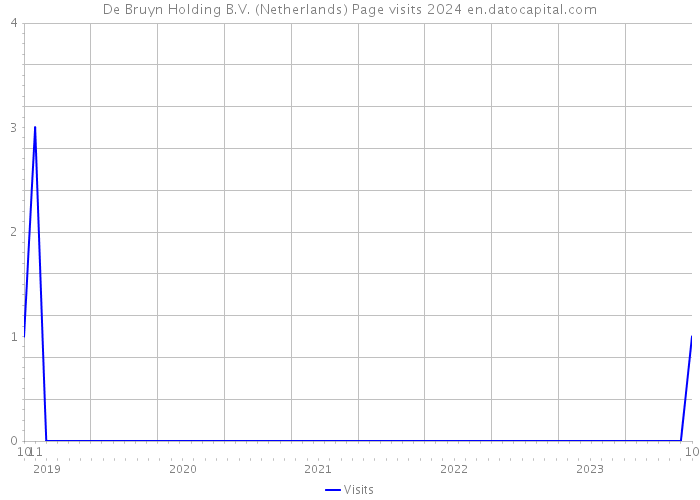 De Bruyn Holding B.V. (Netherlands) Page visits 2024 