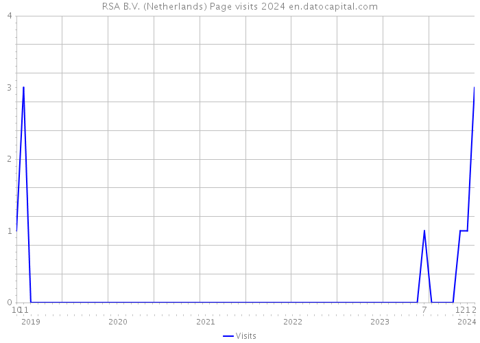 RSA B.V. (Netherlands) Page visits 2024 