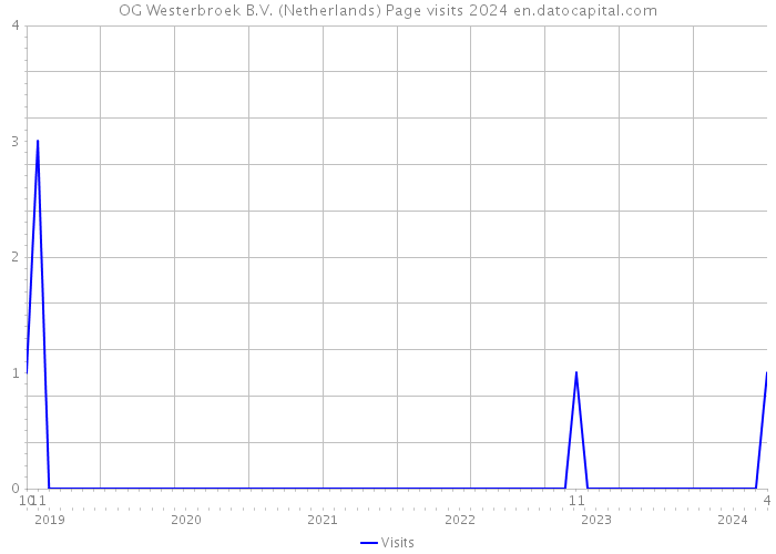 OG Westerbroek B.V. (Netherlands) Page visits 2024 