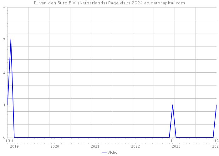 R. van den Burg B.V. (Netherlands) Page visits 2024 