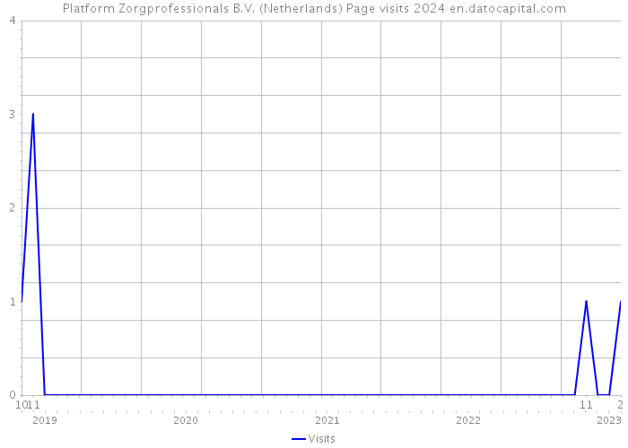 Platform Zorgprofessionals B.V. (Netherlands) Page visits 2024 