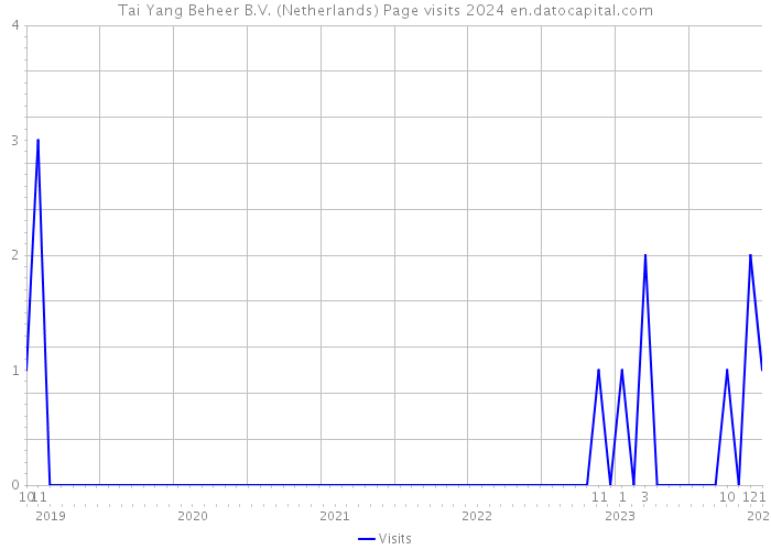 Tai Yang Beheer B.V. (Netherlands) Page visits 2024 