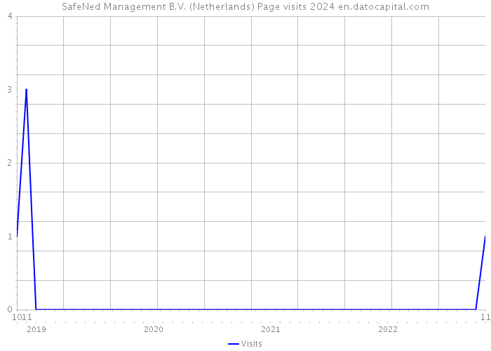 SafeNed Management B.V. (Netherlands) Page visits 2024 