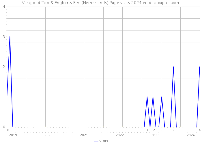 Vastgoed Top & Engberts B.V. (Netherlands) Page visits 2024 