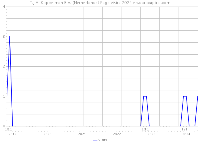 T.J.A. Koppelman B.V. (Netherlands) Page visits 2024 