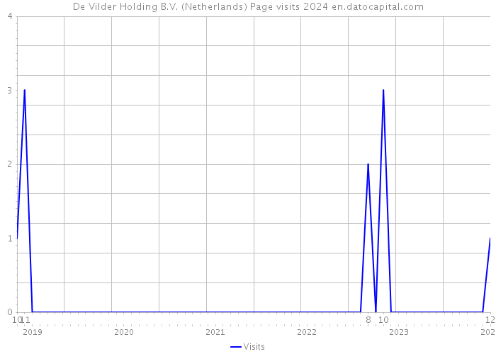De Vilder Holding B.V. (Netherlands) Page visits 2024 
