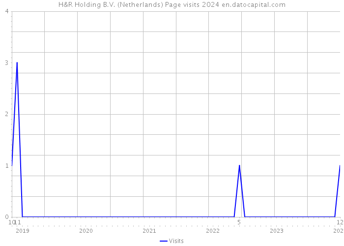 H&R Holding B.V. (Netherlands) Page visits 2024 