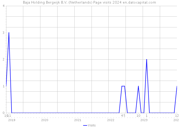Baja Holding Bergeijk B.V. (Netherlands) Page visits 2024 