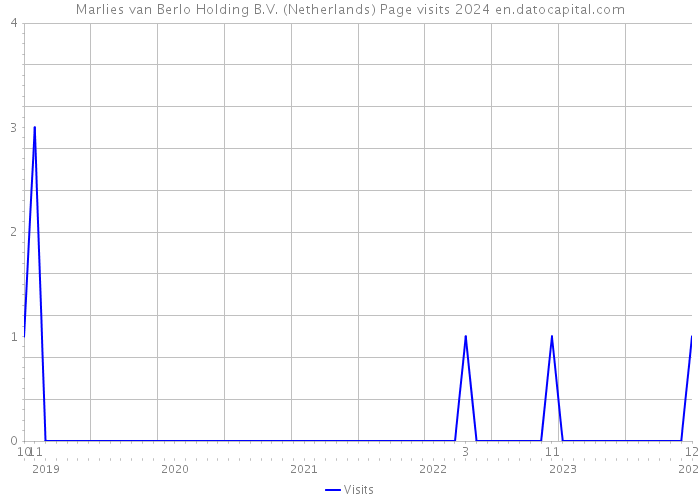 Marlies van Berlo Holding B.V. (Netherlands) Page visits 2024 