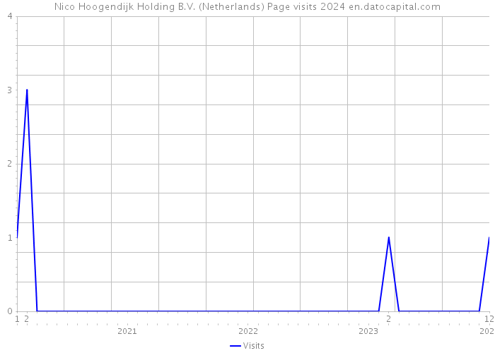 Nico Hoogendijk Holding B.V. (Netherlands) Page visits 2024 