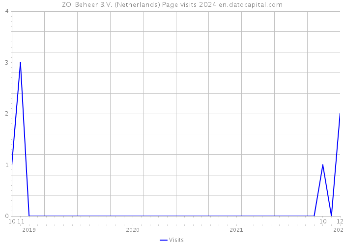 ZO! Beheer B.V. (Netherlands) Page visits 2024 