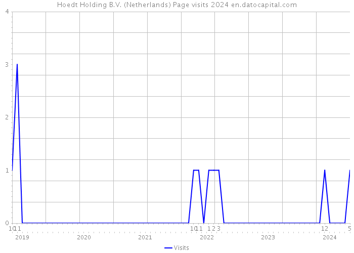 Hoedt Holding B.V. (Netherlands) Page visits 2024 