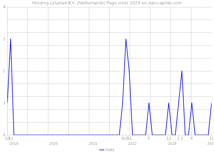 Holding Lelystad B.V. (Netherlands) Page visits 2024 