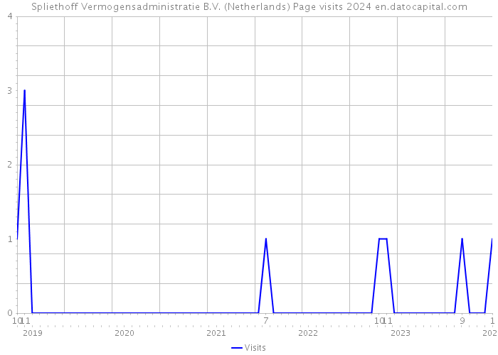 Spliethoff Vermogensadministratie B.V. (Netherlands) Page visits 2024 