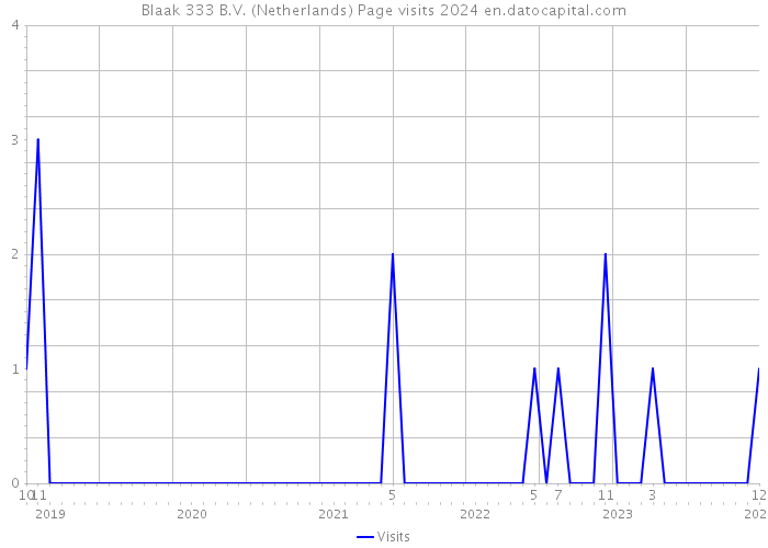 Blaak 333 B.V. (Netherlands) Page visits 2024 