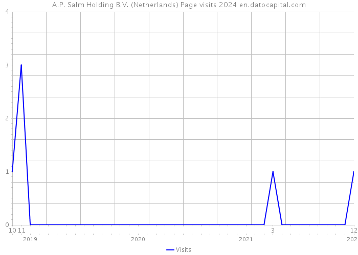 A.P. Salm Holding B.V. (Netherlands) Page visits 2024 