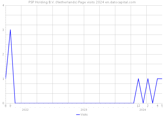 PSP Holding B.V. (Netherlands) Page visits 2024 