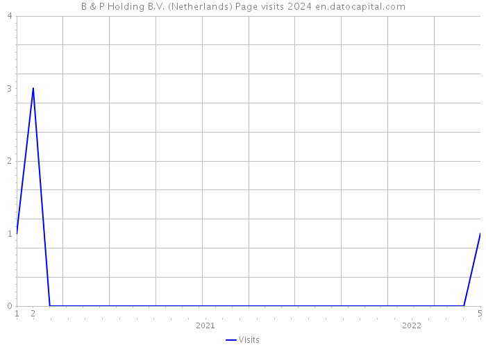 B & P Holding B.V. (Netherlands) Page visits 2024 