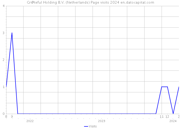 Gr@teful Holding B.V. (Netherlands) Page visits 2024 