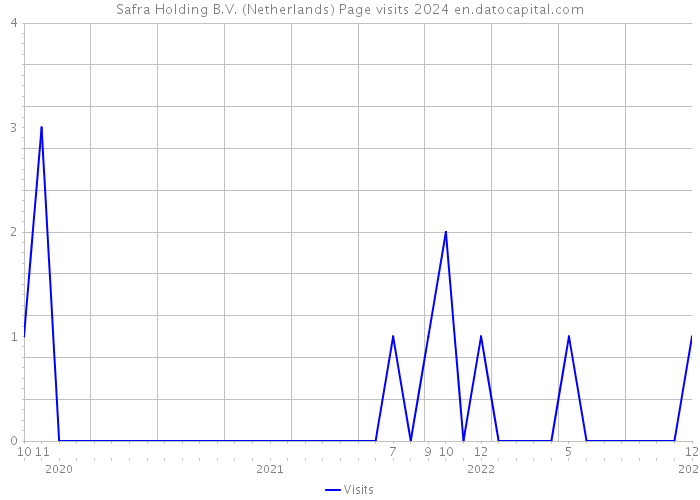 Safra Holding B.V. (Netherlands) Page visits 2024 