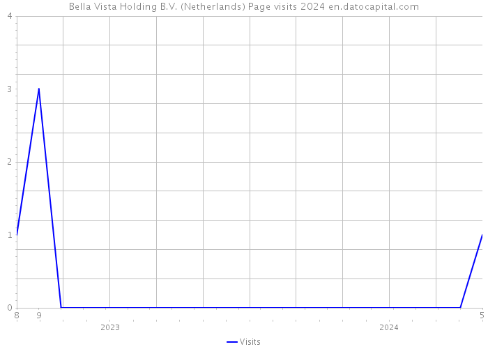 Bella Vista Holding B.V. (Netherlands) Page visits 2024 