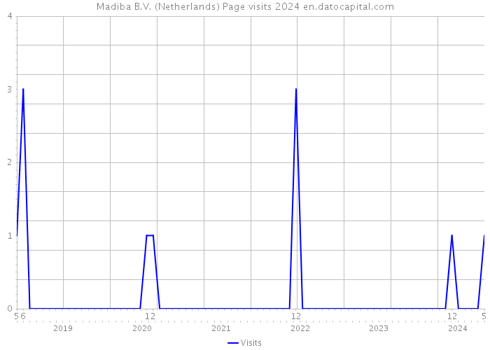 Madiba B.V. (Netherlands) Page visits 2024 