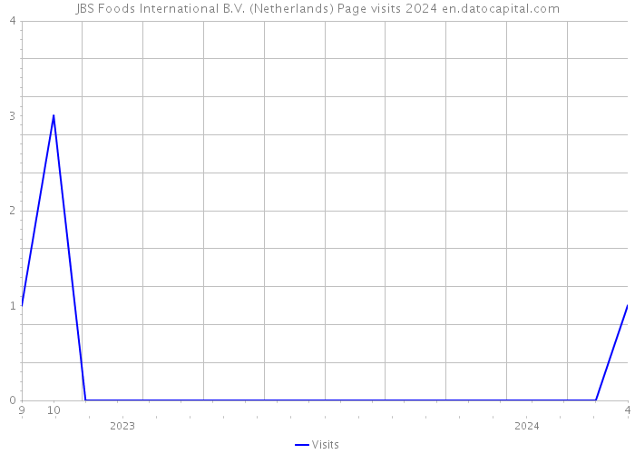 JBS Foods International B.V. (Netherlands) Page visits 2024 