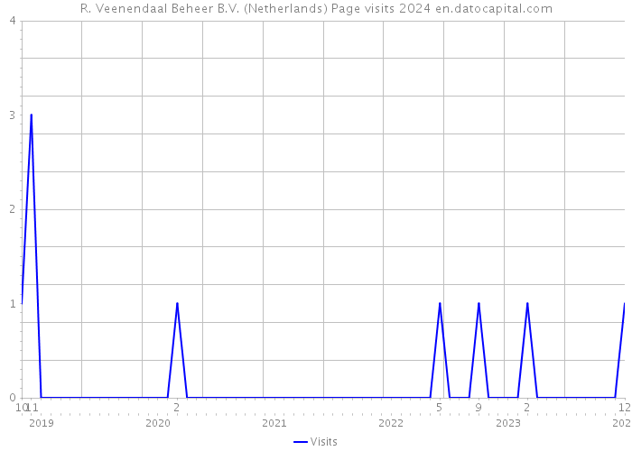 R. Veenendaal Beheer B.V. (Netherlands) Page visits 2024 