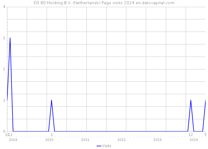 DS 80 Holding B.V. (Netherlands) Page visits 2024 