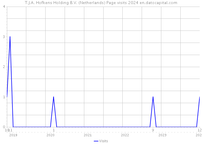 T.J.A. Hofkens Holding B.V. (Netherlands) Page visits 2024 