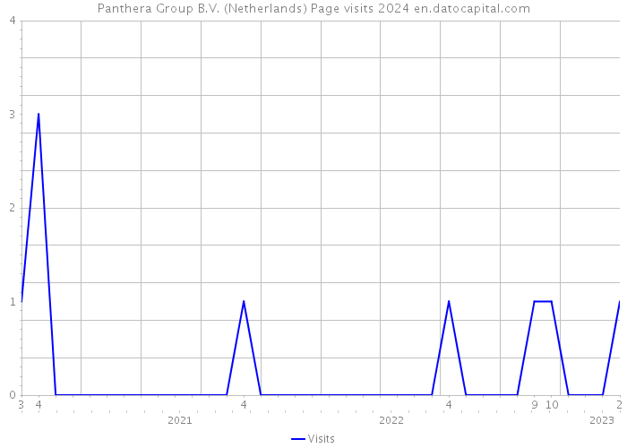 Panthera Group B.V. (Netherlands) Page visits 2024 