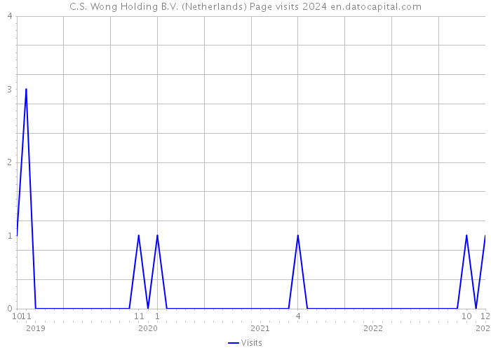 C.S. Wong Holding B.V. (Netherlands) Page visits 2024 