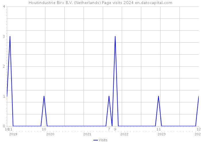 Houtindustrie Birx B.V. (Netherlands) Page visits 2024 