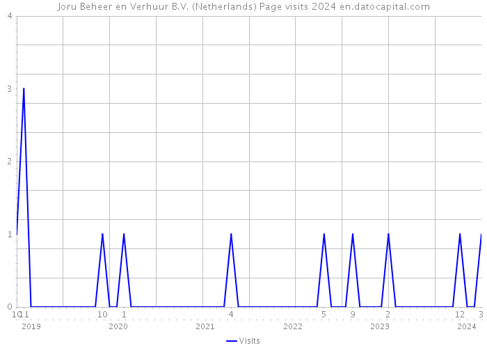 Joru Beheer en Verhuur B.V. (Netherlands) Page visits 2024 
