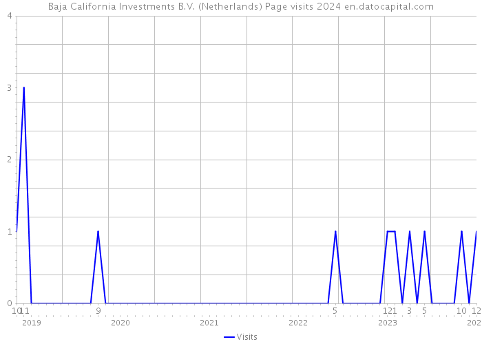 Baja California Investments B.V. (Netherlands) Page visits 2024 